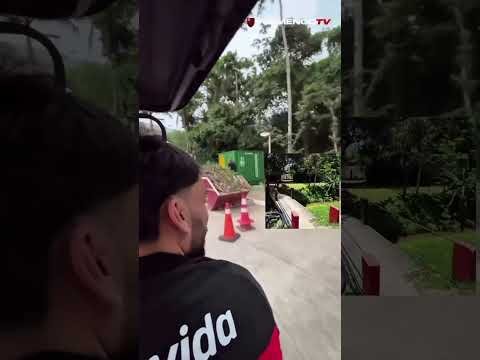 EMOCIONANTE VER ESSE RETORNO AO NINHO!