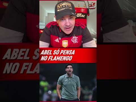 MAIS UMA COLETIVA E ABEL FERREIRA CONTINUA CITANDO O FLAMENGO